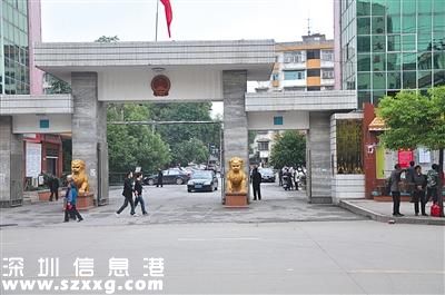一副縣長(zhǎng)被女子詐騙1500萬(wàn) 知情人:智商嘆為觀止
