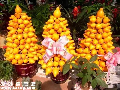 春節(jié)買什么年花？不同花有什么不同寓意？