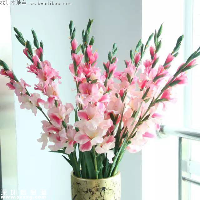 春節(jié)買什么年花？不同花有什么不同寓意？