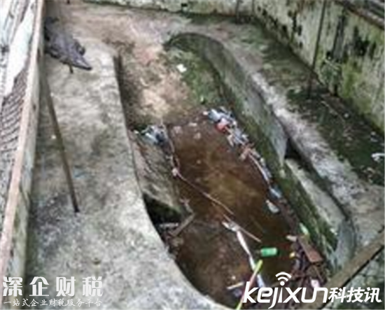 ?？趧游飯@成煉獄：滿眼全都是動物尸體 太可怕