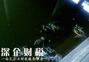 北京一河段放水浮出30余輛共享單車(chē) 車(chē)身長(zhǎng)滿(mǎn)綠毛