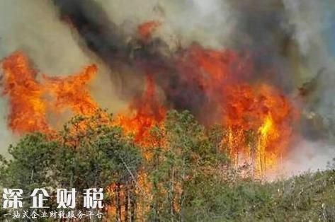 香格里拉市長救火被嚴(yán)重?zé)齻?公務(wù)員受傷害誰來賠償