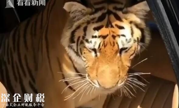 富二代炫富引爭議網上罵聲一片 視頻曝光富二代奢適生活