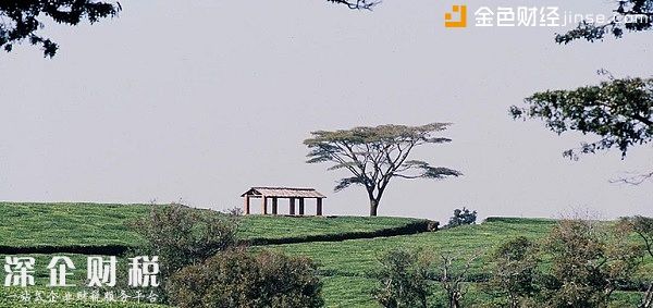 聯(lián)合利華為旗下非洲茶葉供應(yīng)鏈推出區(qū)塊鏈試點項目